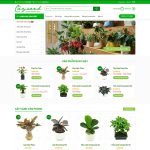 Theme wordpress cây xanh 01 Theme wordpress cây xanh 01