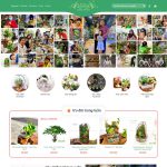 Theme wordpress bán cây xanh terrarium Theme wordpress bán cây xanh terrarium