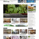 Theme wordpress tin tức 08 Theme wordpress tin tức 08