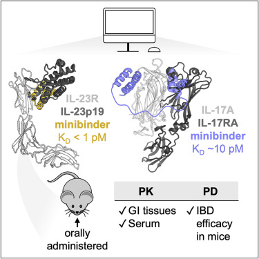Preclinical proof of principle for orally delivered Th17 ...