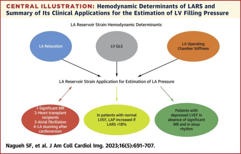 Left Atrial Strain for Assessment of Left Ventricular Diastolic ...