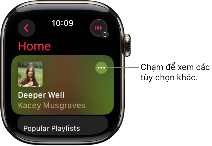 Phát nhạc trên Apple Watch - Bộ phận hỗ trợ của Apple (VN)