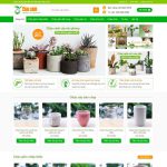 Theme wordpress bán chậu cây, cây xanh Theme wordpress bán chậu cây, cây xanh