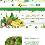 Theme wordpress bán nông sản 05 Theme wordpress bán nông sản 05
