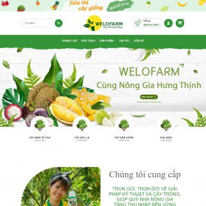 Theme wordpress bán nông sản 05