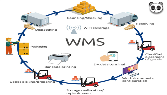WMS Là Gì? Sự Khác Biệt Giữa Hệ Thống WMS Và ERP