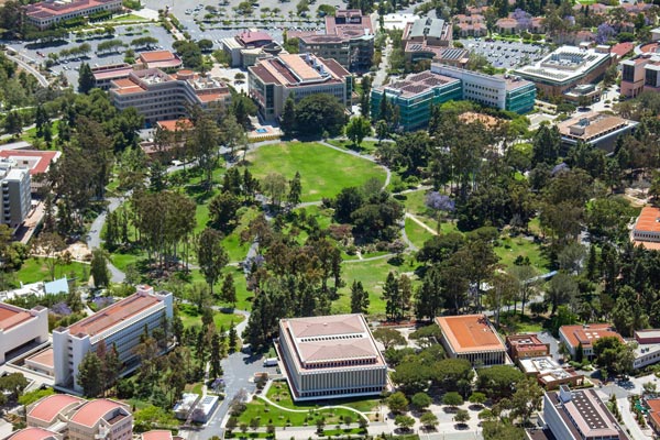 Sergio Carrallo rời bóng đá chuyên nghiệp để theo học Tiếp thị kỹ ...