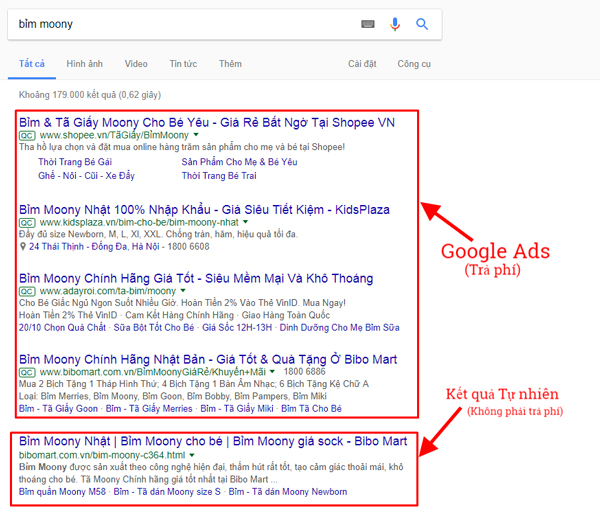 Dịch vụ SEO tổng thể website – WAM.VN